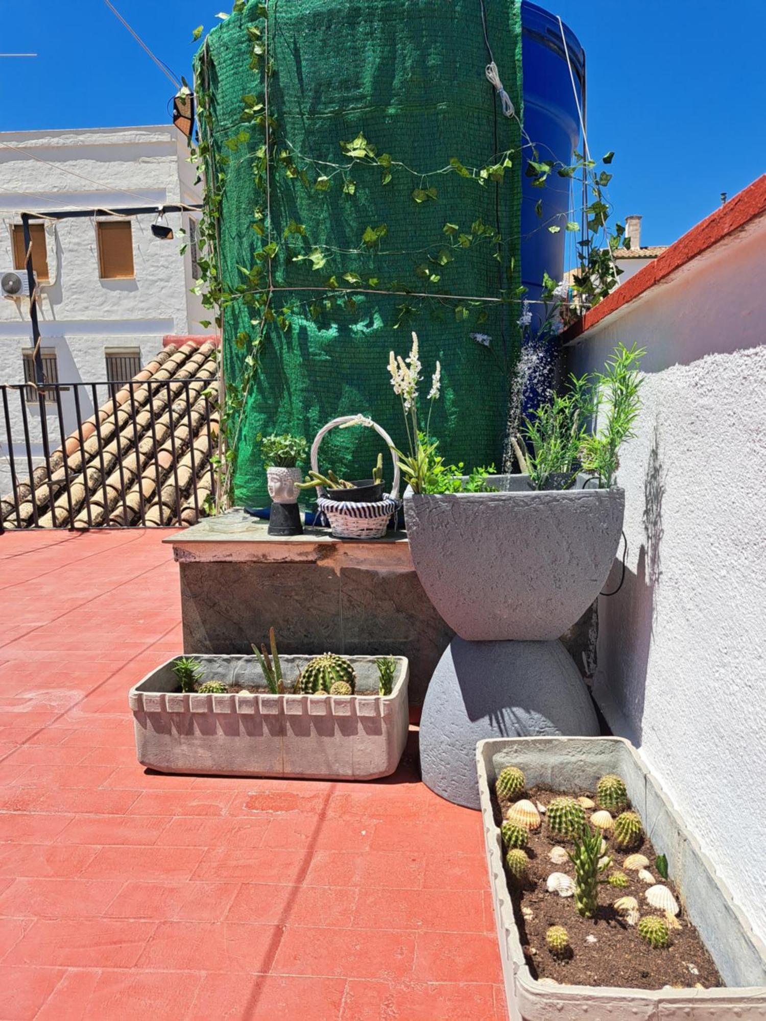Casa Paloma Apartment Jaen Exterior photo